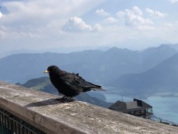 2019-Salzkammergut